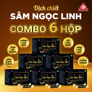 Com bo 6 dịch chiết suất Sâm ngọc linh