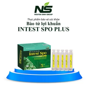Thực phẩm bảo vệ sức khoẻ bào tử lợi khuẩn Intest spo plus