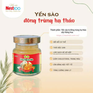 Nước yến sào đông trùng hạ thảo Nest 100 -có đường  (70ml )