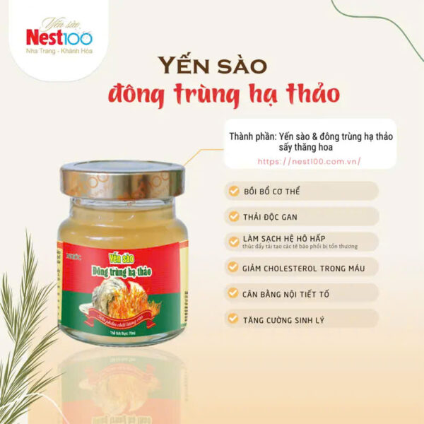 Nước yến sào đông trùng hạ thảo Nest 100 -có đường  (70ml )