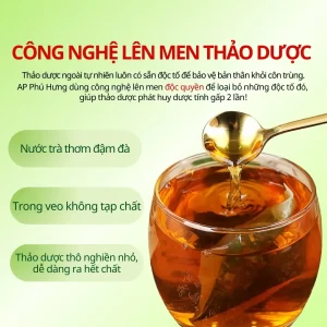 Trà cà gai leo hỗ trợ bảo vệ gan AP Phú hưng