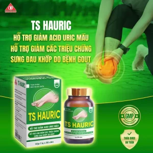 Viên uống TS Haunic hỗ trợ giảm a cid uric và sưng đau khớp do gout 30V