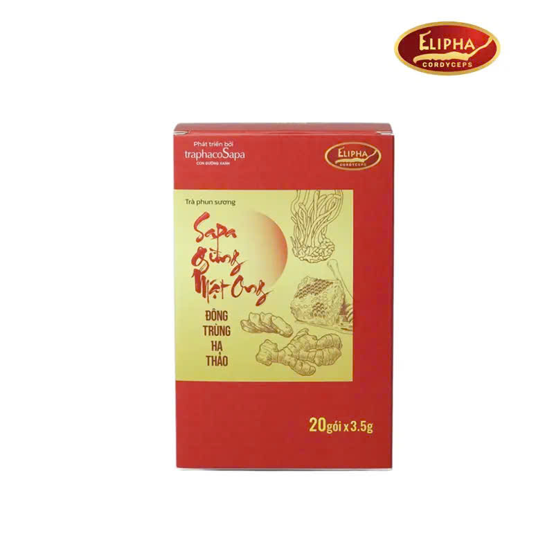 Trà phun sương sapa gừng mật ong đông trùng hạ thảo