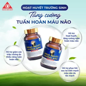 Hoạt huyết dưỡng não trường sinh giúp tăng cường tuần hoàn máu não ,cải thiện tri nhớ 30 viên
