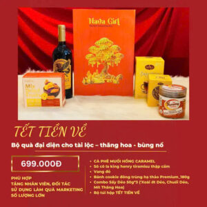 Hộp quà tết 2026 -TẾT TIỀN VỀ  (kèm túi)